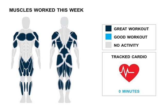 Weekly Recap from bodybuilding.com for last week!

SHOULDERS
Your shoulders must be throbbing after a great workout week that included one exercise and five sets. While working out your shoulders, standing military press was your go-to lift at an average of 70 lbs. per set. Good work!

MIDDLE BACK
You brought your middle back ""A""-game, doubling up your normal number of exercises and sets with two and 10. The only middle back lift you did was bent over barbell row, although you did average an awesome 93 lbs. per set.

CHEST
You took it to the next level with two chest exercises and 10 sets, both of which are over double your weekly averages. Barbell bench press - medium grip, at an average of 73 lbs. per set, was your only chest lift

NOTES:
* You've officially put your quads on the fast track to serious strength gains. Over just the last month your barbell full squat went from 58 lbs. to 100 lbs.
* With 10 chest sets, you outperformed your three-month average of five. That's what it's all about, man.
* The last few weeks of middle back work have begun to pay dividends with your strength increasing quickly. Impressive!
* Way to pick it up. Your performance this week was greater than your three month weekly average with two middle back exercises.

#workinprogress 