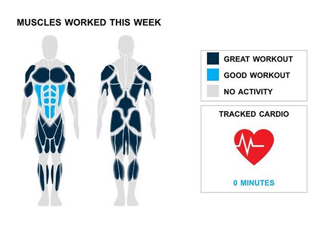 Weekly Recap from bodybuilding.com for last week!

ABDOMINALS
Like Arnold has always said, ""pain is temporary, pride is forever."" After your amazing week you must be feeling very prideful. You totaled 15 ab sets over three exercises. Your leading lift from the week was crunches, which accounted for 10 of your 15 sets.

BICEPS
Way to put that extra effort into your biceps. Your five sets and one exercise accounted for 7% of your overall workout. In those five sets, which were all sets of hammer curls, you averaged an impressive 40 lbs. per set.

SHOULDERS
Keep pushing yourself after another great week. You lifted your shoulders in a total of five sets, which was 7% of your workouts. Arnold dumbbell press was your lone shoulder lift, but you did crush the exercise, lifting an average of 25 lbs. per set.

NOTES:
* You've officially put your hamstrings on the fast track to serious strength gains. Over just the last month your barbell deadlift went from 155 lbs. to 175 lbs.
* In just a year you've managed to graduate from lifting 65 lbs. per set of bent over barbell row to a whopping 95.
* With 15 ab sets, you did more than your three-month average of nine. Way to get after it, buddy.
* The last few weeks of hamstring work have begun to pay dividends with your strength increasing quickly. Nice work!

 #workinprogress 